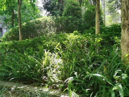 天水湖头条号首页,湖光山色，尽收眼底