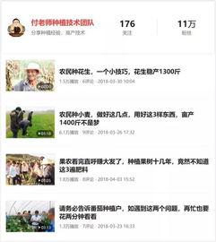 今日头条种菜产量多少,亩产惊人，绿色农业新篇章