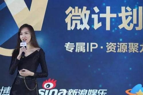 明星制片微计划,明星制片微计划全景解析