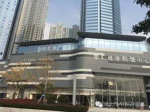 武汉的明星公司的,引领行业发展的璀璨明珠