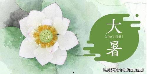 大暑节气吃瓜纳凉绘画,传统节气里的清凉画卷