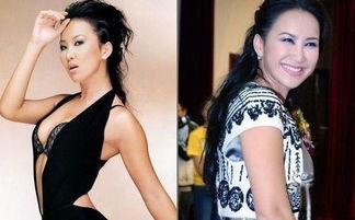 日本三级女明星,揭开日本娱乐圈的隐秘面纱