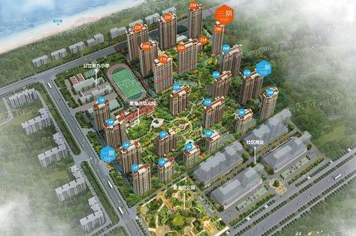 华明星海湾公园,城市绿肺中的休闲乐园