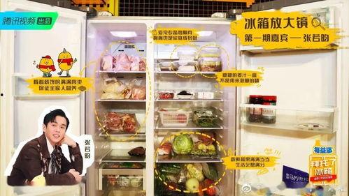 明星怎么使用冰箱,揭秘明星们的食材收纳与保鲜之道