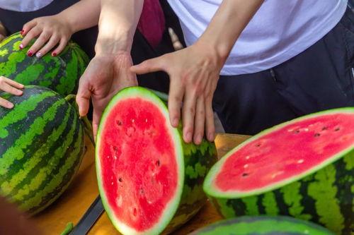 宁夏大学吃瓜事件,校园风波背后的真相探寻