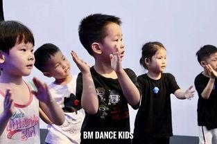 网红舞蹈简单儿童男生,网红舞蹈风潮下的简单儿童男生舞步解析