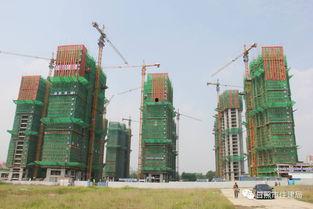 日照网冯家沟头条,日照网聚焦的乡村振兴新篇章