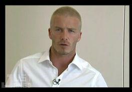 明星王仁葡,星光璀璨的演艺之路