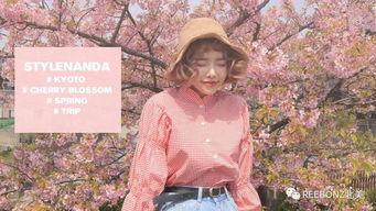 网红风介绍,揭秘网红风潮流趋势解析