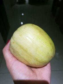 鹤儿吃瓜,鹤儿吃瓜的趣味瞬间