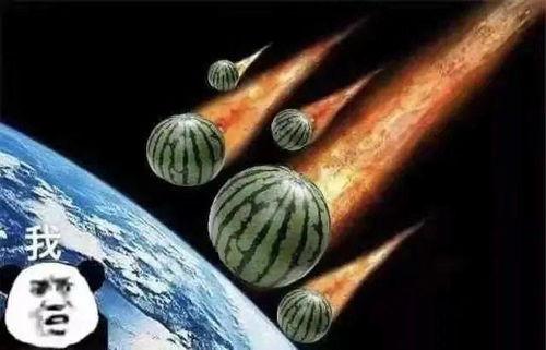 有关吃瓜的段子文案,盘点那些爆笑段子背后的趣味人生