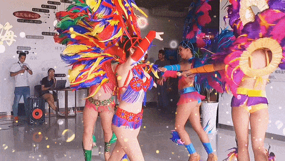 网红桑巴,网络红人的魅力之旅