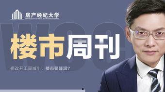 深圳波哥最新爆料,最新爆料背后的惊人真相