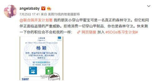 明星你知道哪些知识,明星效应下的社会文化现象概述